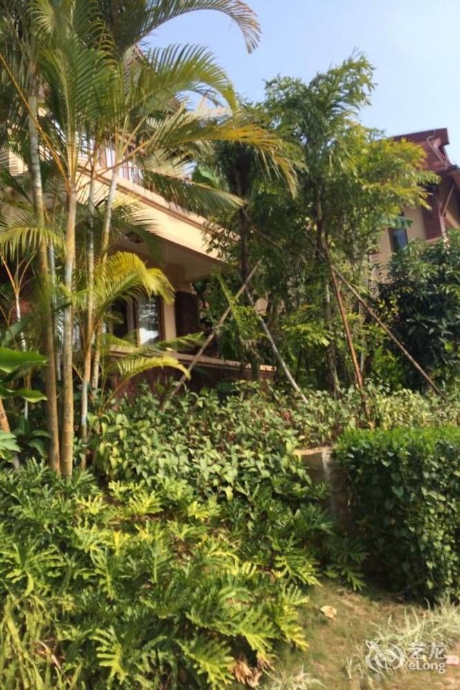Hainan Bulongsai Resort Hotel Baoting Exteriör bild